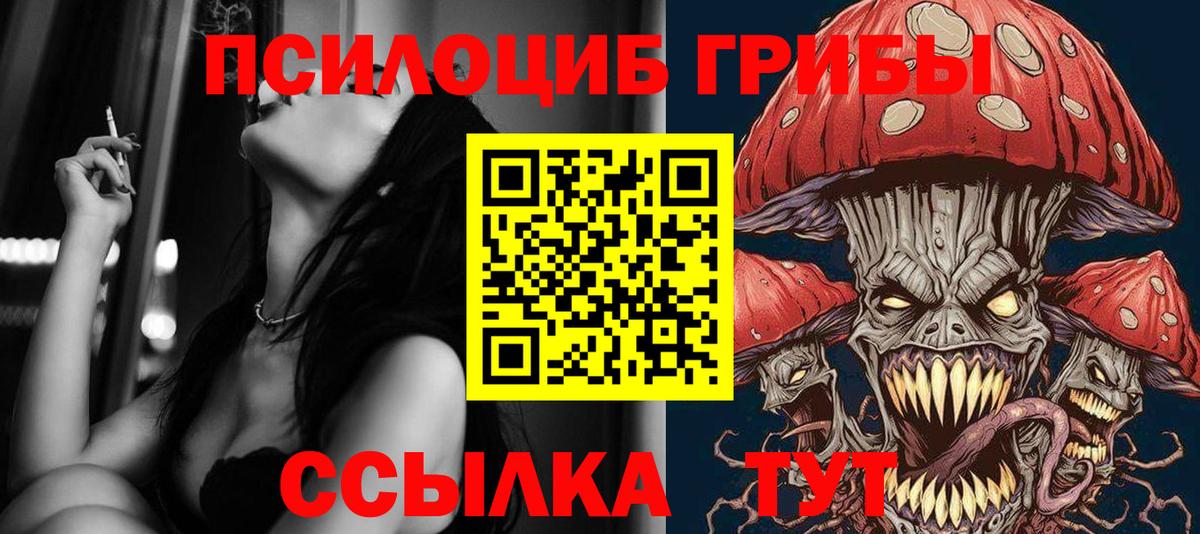 Свободный  Псилоцибиновые грибы Cubensis  Вход с VPN 